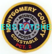 TEXAS,A,MONTGOMERY COUNTY CONSTABLE PRECINCT 2 POSSE 1